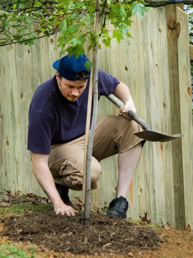 Mulch Mulch