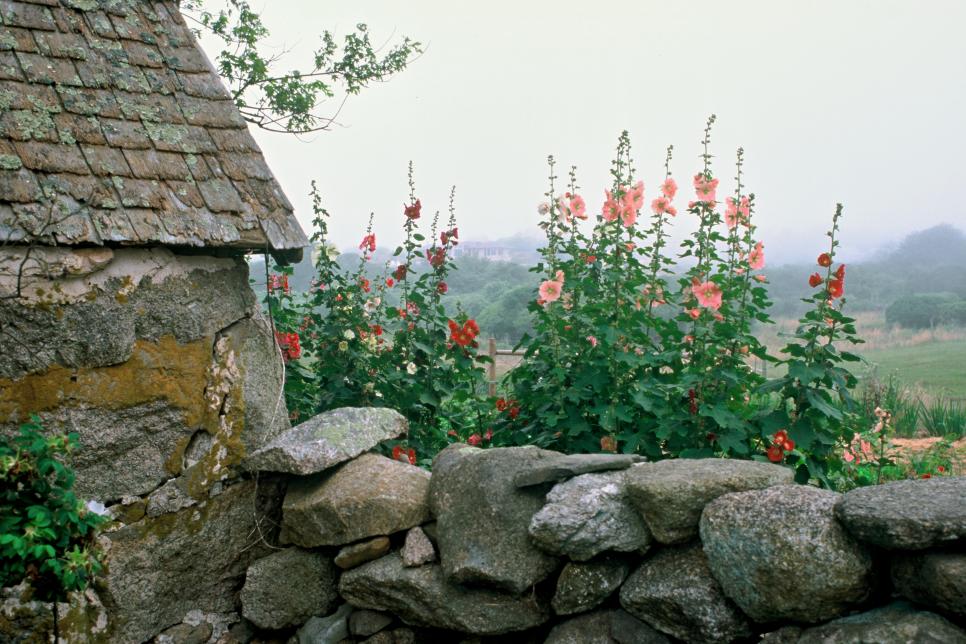 The Stunning Gardens and Landscapes of Martha's Vineyard HGTV