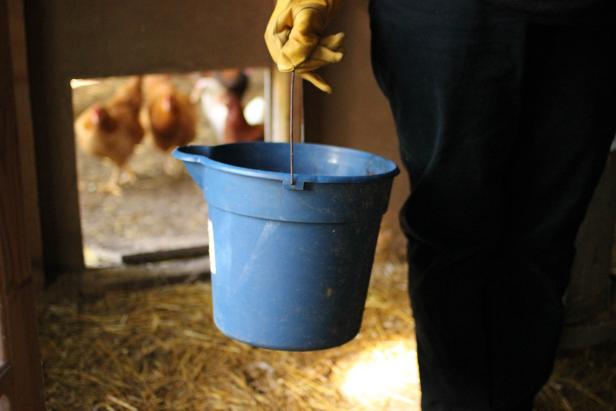 Cleaning Chicken Coop Cleaning Chicken Coop
