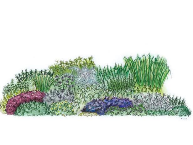 Herb Garden in Spring Herb Garden in Spring