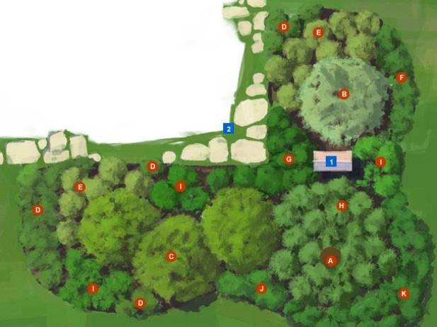 Sensory Garden Overview for the Rockies and High Plains Sensory Garden Overview for the Rockies and High Plains