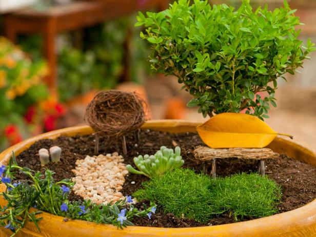 Create a magical miniature container garden that will enthrall your kids. In this make-believe landscape, a pint-sized bush is a large tree, twigs and leaves turn into furniture, and tiny woodland sprites are as close as your imagination. Arranging plants just-so can create the effect of a little forest, a mossy lawn and other scaled-down echoes of Mother Nature's grander schemes. Then start imagining the fairies that visit late at night when the world is asleep.