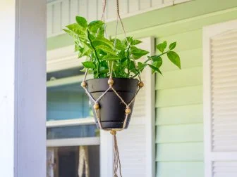 Macrame Plant Hanger