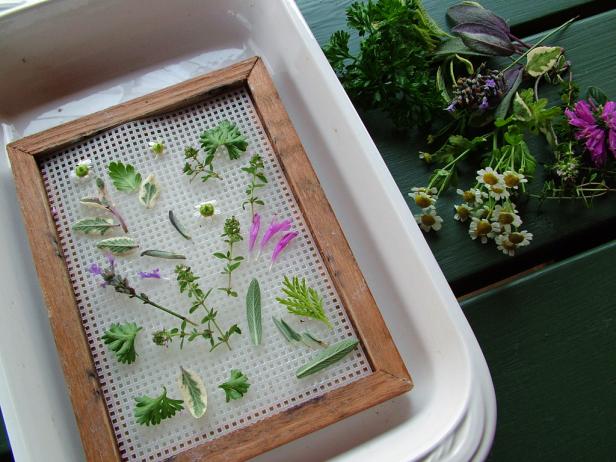 To make a collage, place leaves, flowers, stems or seed heads face-down on the screening of your sheet mold.