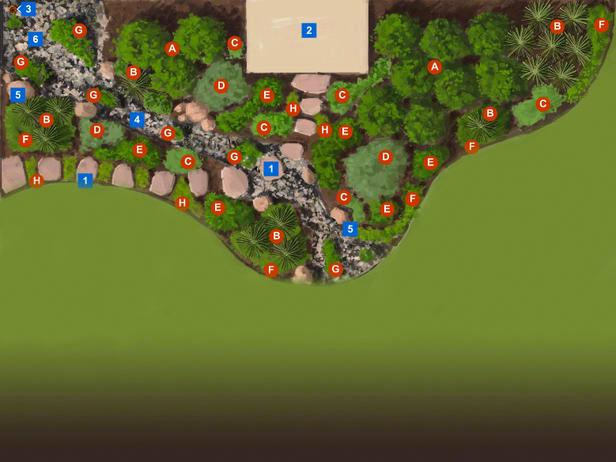 50 Feet Wide Low-Water Northeast Garden 50 Feet Wide Low-Water Northeast Garden