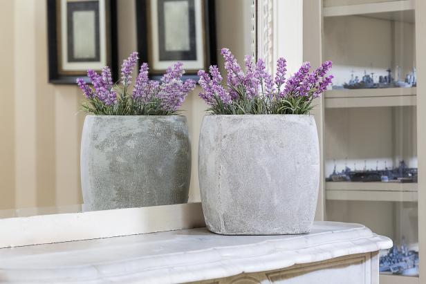 Lavender in Pot Lavender in Pot
