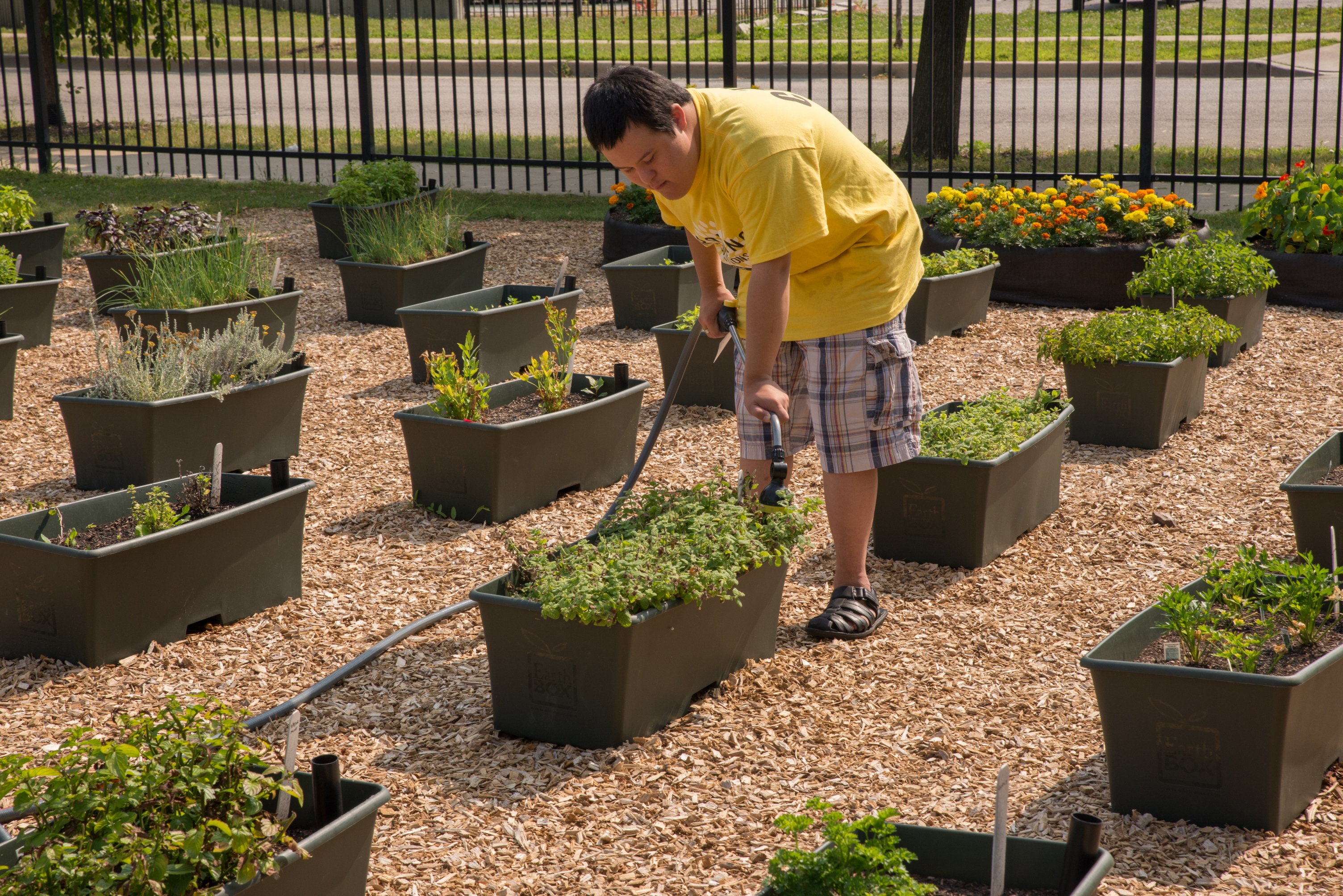 garden designs for students with autism