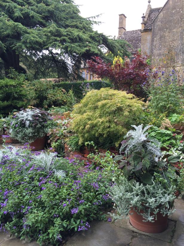 Garden with Splashes of White Garden with Splashes of White