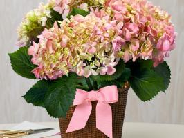 Give Mom Flowers: 30 Hydrangea Arrangements