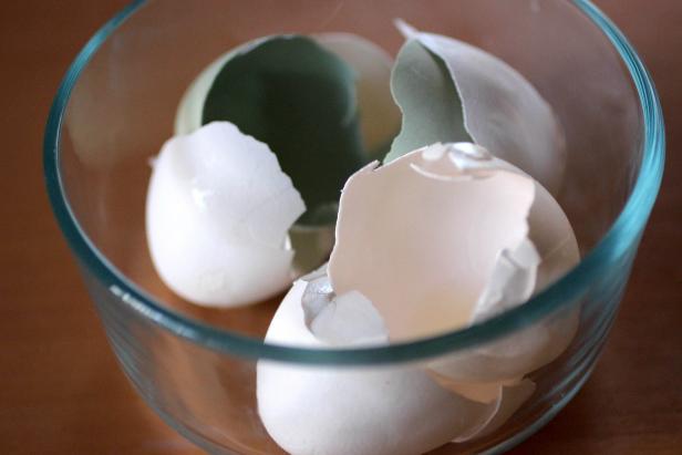 Eggshells Eggshells