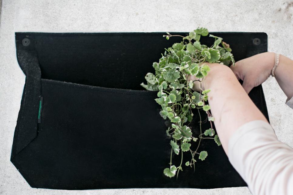 Plant a Woolly Pocket Living Wall Garden HGTV