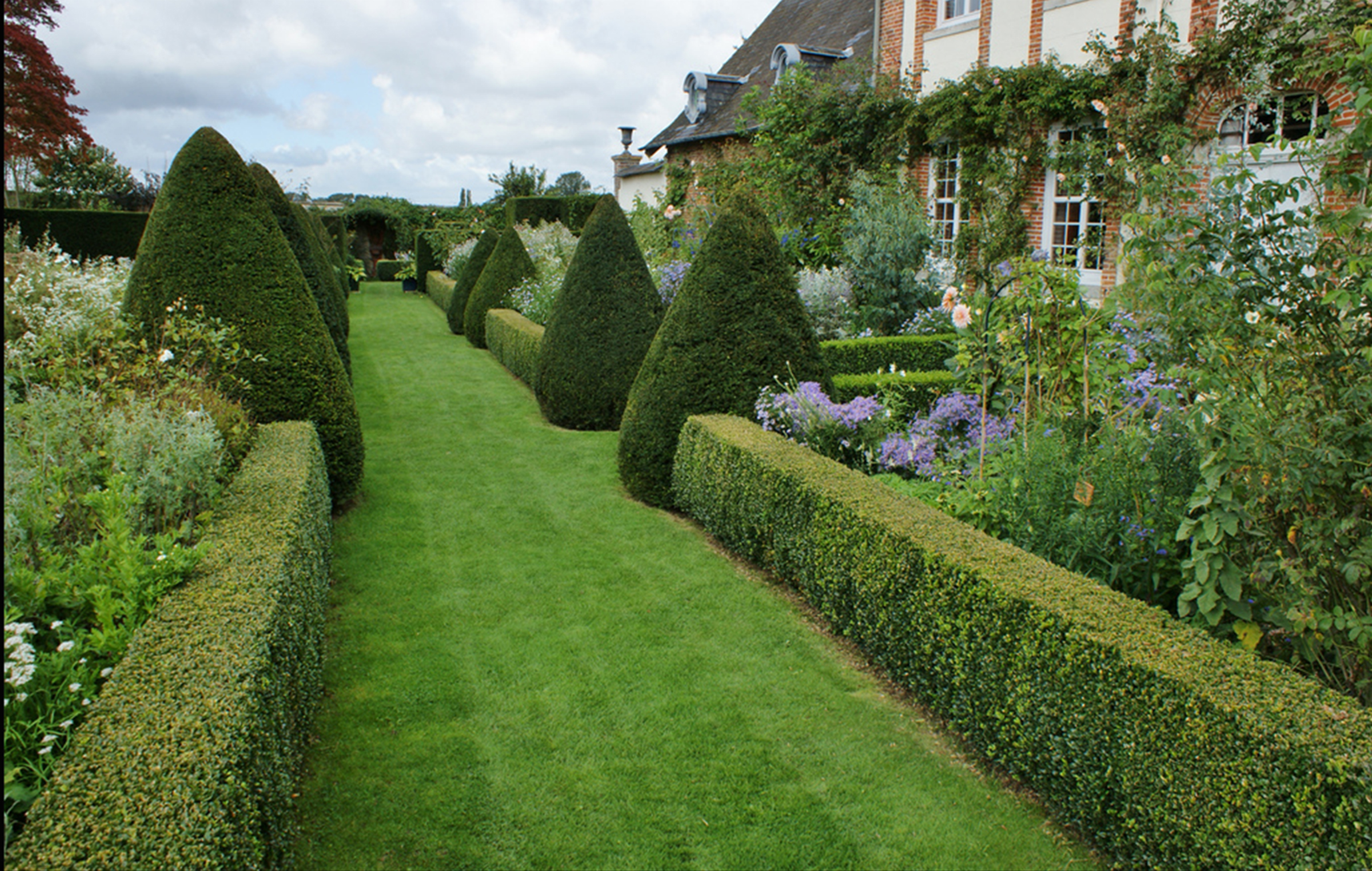 Живая изгородь французский сад Палисад