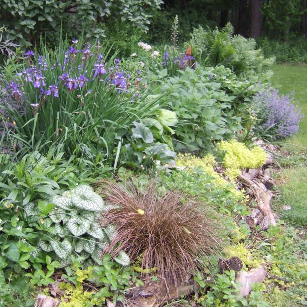 Raised Perennial Border Raised Perennial Border
