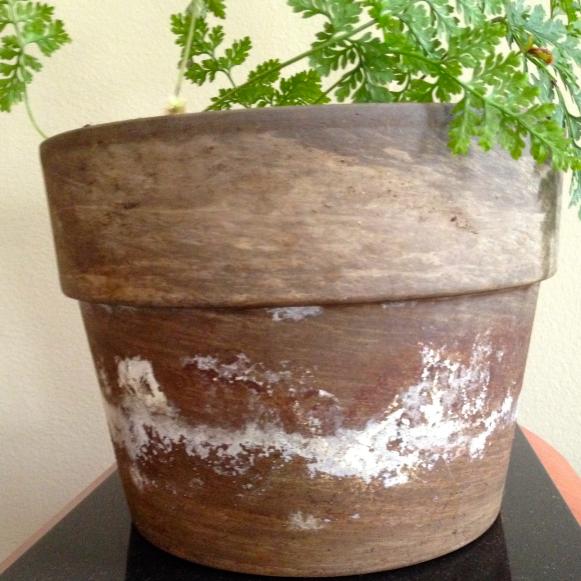 Build-up of salts on pot Build-up of salts on pot