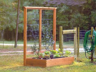How to Build a Raised Bed and Trellis