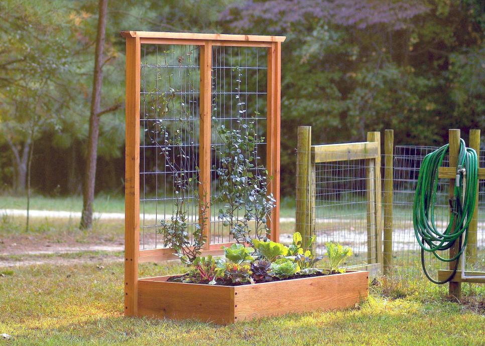 How to Build a Raised Bed and Trellis HGTV