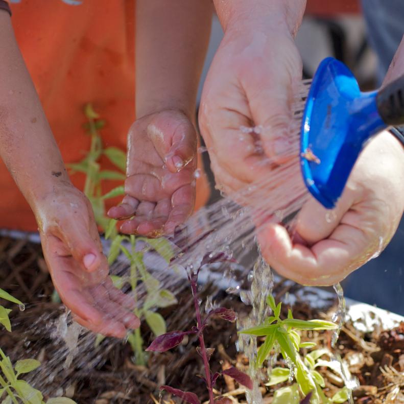 Learning gardens are great places for children to experience how plants grow and thrive.