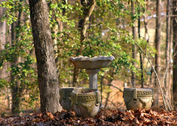 Birdbath Birdbath