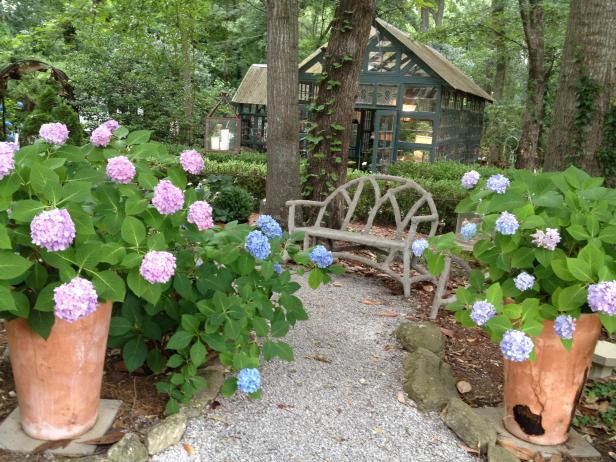 Consider making a path through your woodland garden to a potting shed or other destination. Use natural materials on the path so weeds and grass can't sprout. Hydrangeas will grow nicely in large containers, adding bright color to the shade.