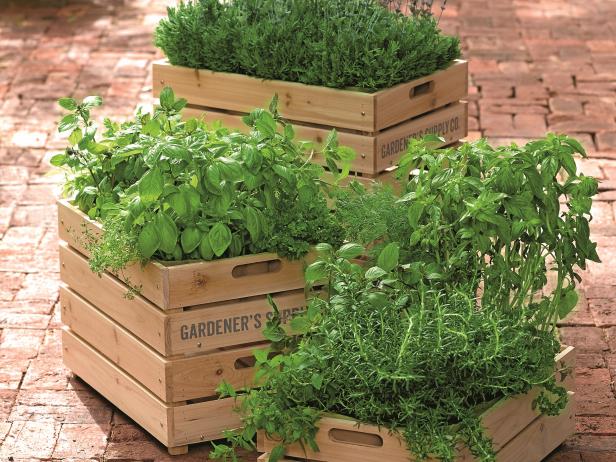 Herbs In Crates Herbs In Crates