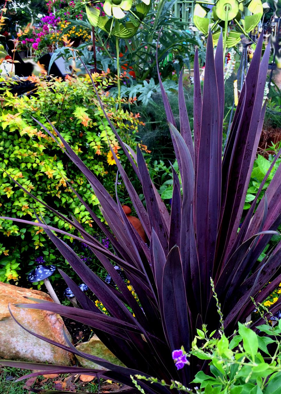Great Tall Plants for the Garden | HGTV