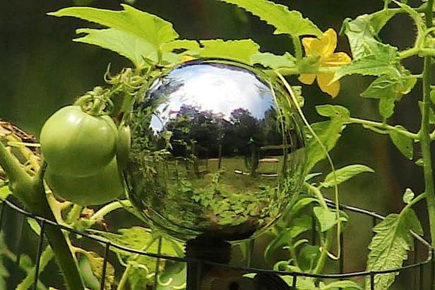 Gazing Ball Gazing Ball