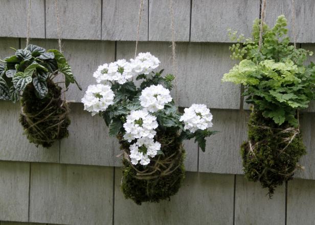 DIY String Gardens DIY String Gardens