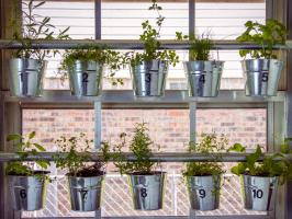 Window-Mounted Hanging Herb Garden