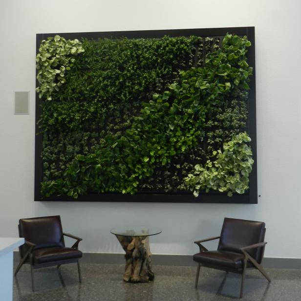 Bringing Nature into an Interior Living Space Bringing Nature into an Interior Living Space