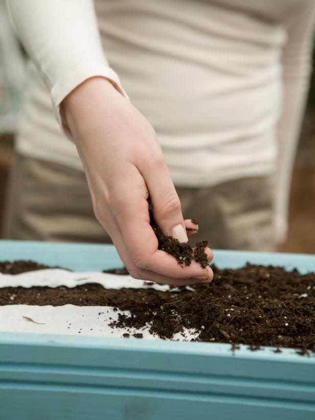 To plant, lay the seed tape on the soil surface, weighting it with a rock or stone to keep the wind from moving it. Cover with soil to the depth recommended on the seed packet. 