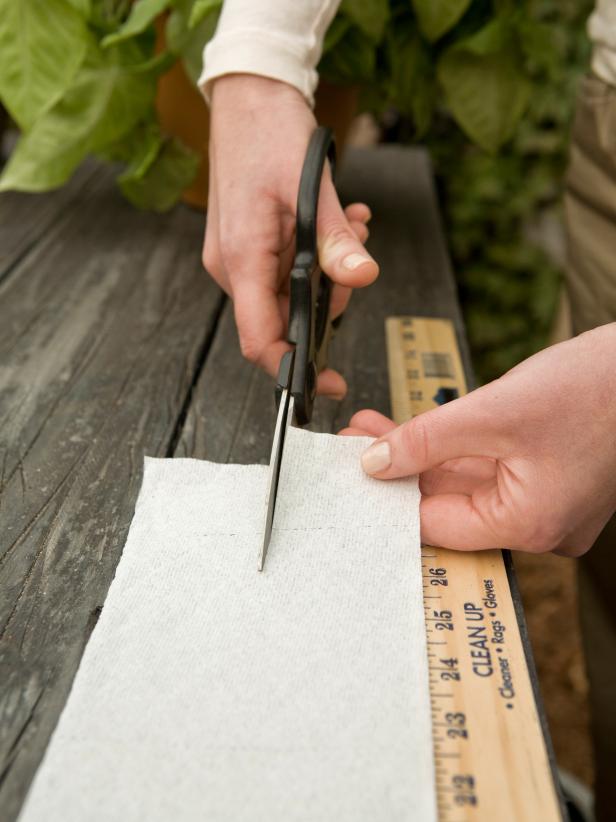 If the planting row will be narrow and straight, cut the toilet paper in half lengthwise.