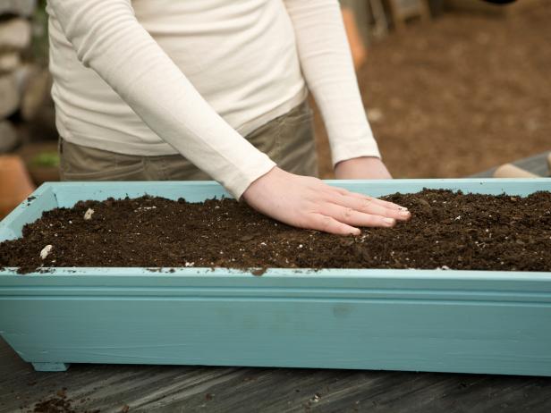 Firm the soil to make sure there's good soil-seed contact.