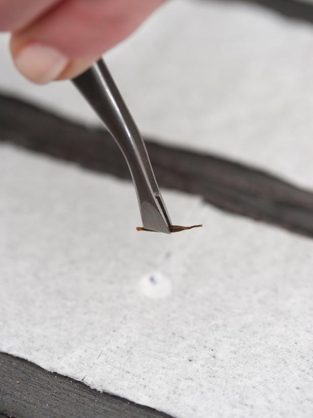 Using tweezers (or tiny fingers), pick up a seed and place it on one of the drops of glue. Continue until you've placed seeds on all the glue drops. Let dry completely.