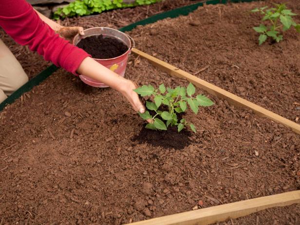 Plant the transplants at the same depth as they were in their containers, and firm the soil around the roots. Top-dress each plant with a handful or two of compost. 