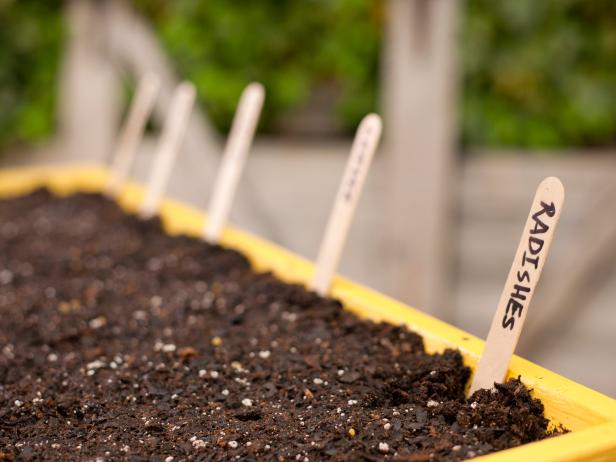 Set the planted window box in a warm, sunny spot and keep the potting soil evenly moist to encourage the seeds to sprout (usually three to five days for the radishes and a week or two for the carrots).