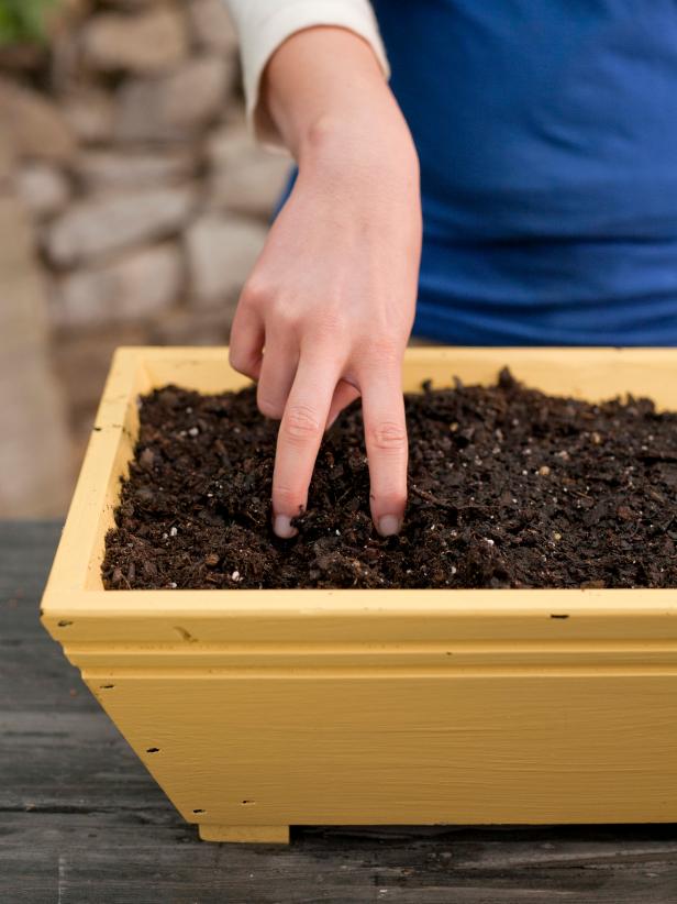 Plan the Planting Plan the Planting