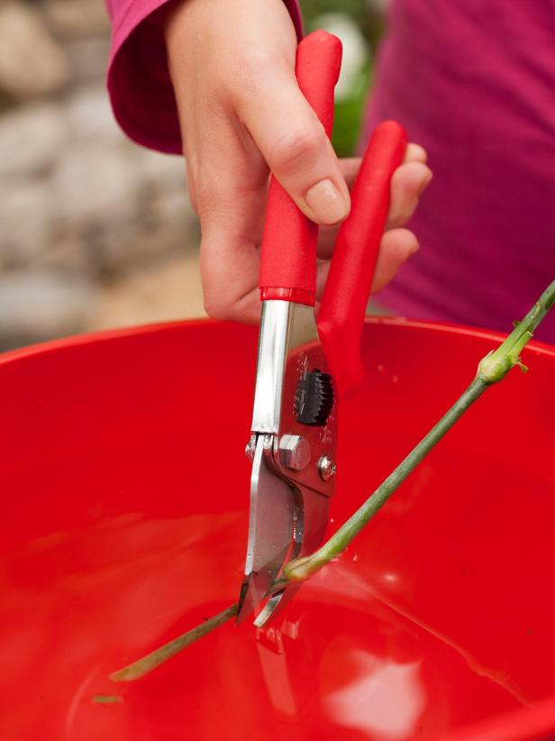 Using hand pruners or sharp scissors, cut the flower stems at an angle. Cutting the stems under water helps prevent air bubbles.