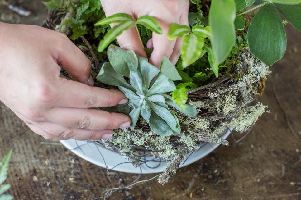 Moss Flower Arrangements HGTV