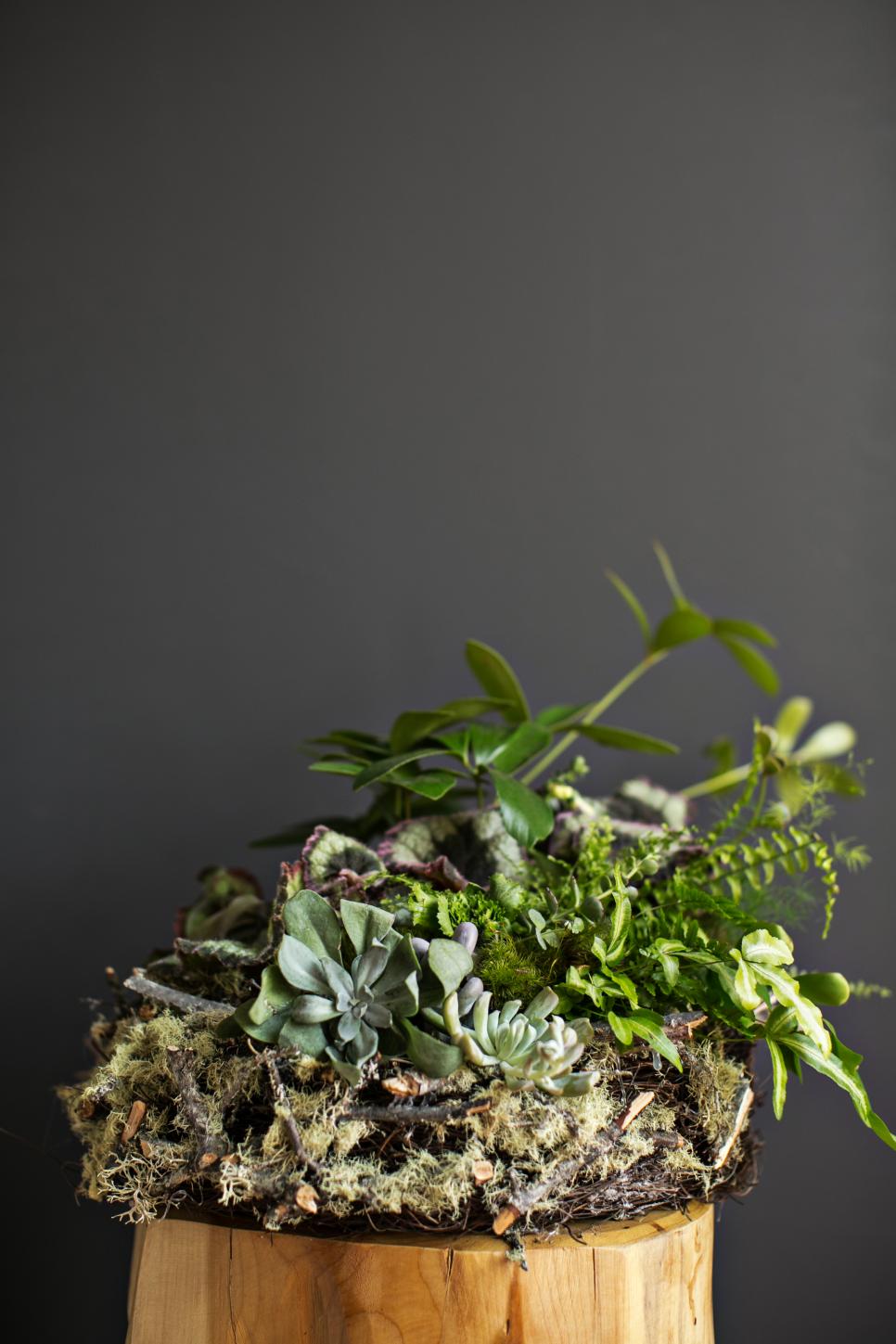 Moss Flower Arrangements HGTV