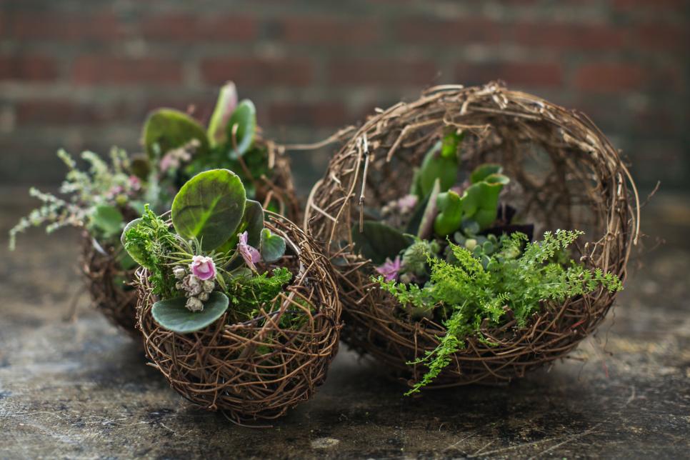 Moss Flower Arrangements HGTV