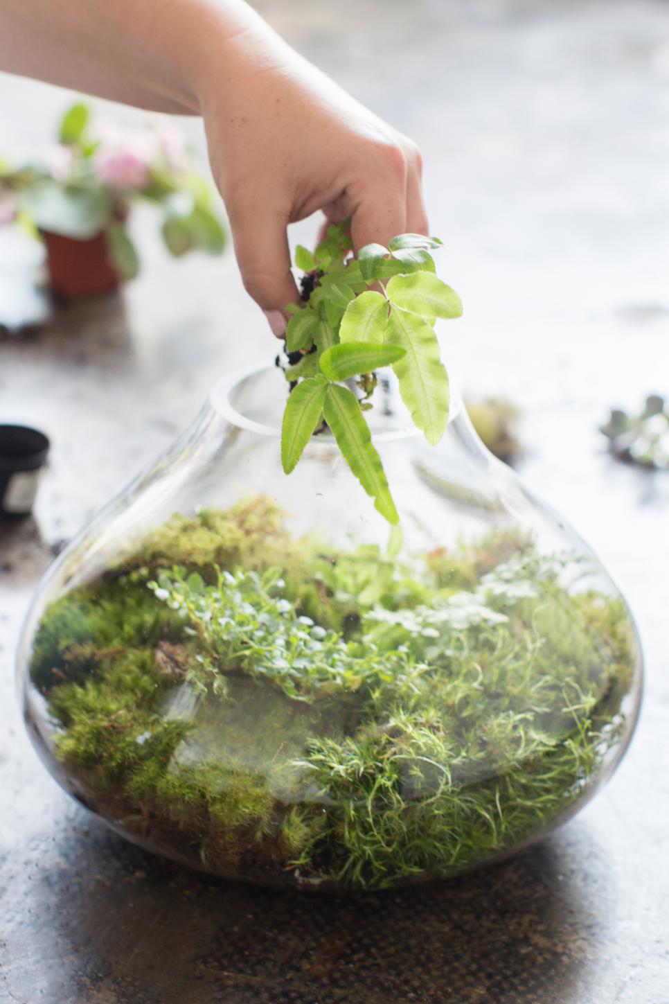 Moss Flower Arrangements HGTV