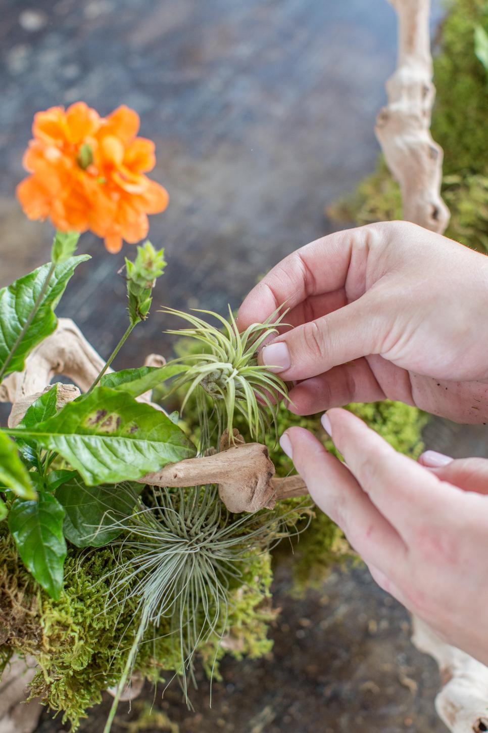 Moss Flower Arrangements HGTV