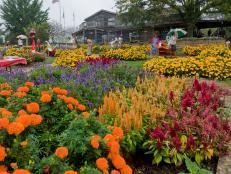 Landscaping Ideas, Designs & Pictures | HGTV