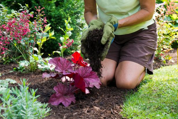 Refresh Mulch Refresh Mulch