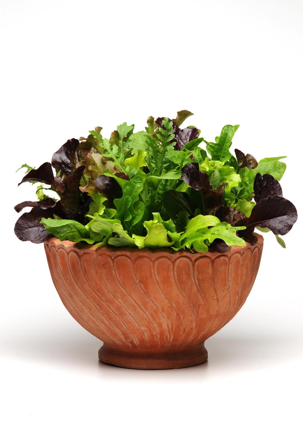 Spring Container Ideas HGTV