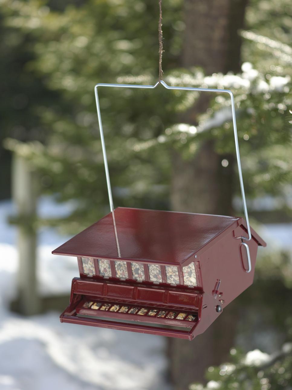 Bird Feeding Problem Solvers HGTV