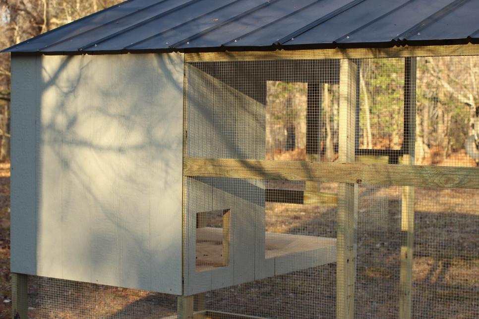 Build Your Own Custom Chicken Coop HGTV