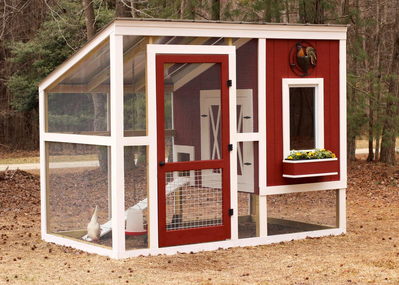 How to Build a Backyard Chicken Coop | HGTV