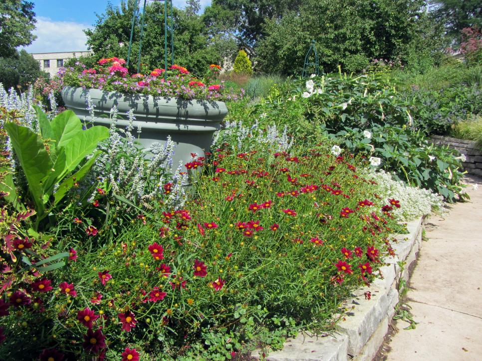 Tough Plants for Midwest Gardens HGTV