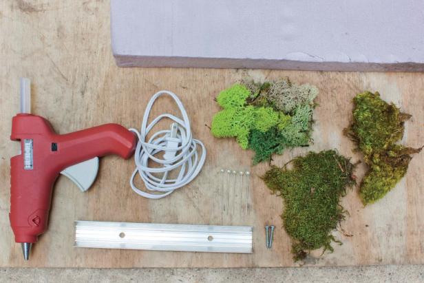 Moss Wall Supplies Moss Wall Supplies
